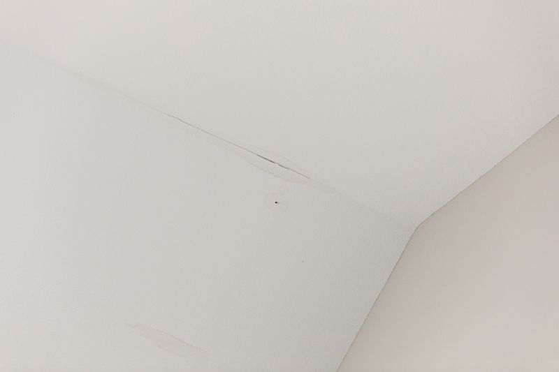 Ceiling Leak Repair Service in Houston, TX