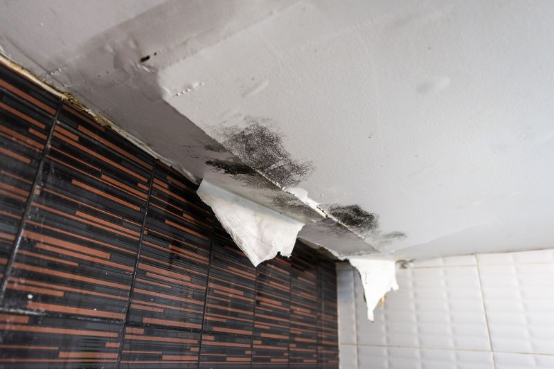 Ceiling Leak Repair Service in Houston, TX