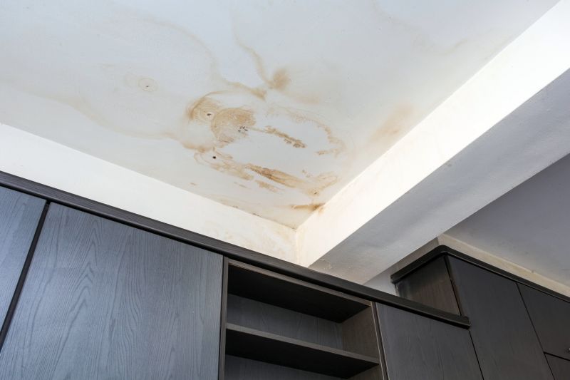 Ceiling Removal Service in Santa Rosa, CA