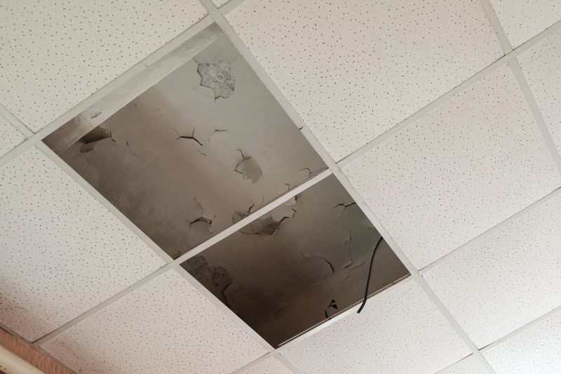 Ceiling Removal Service in Charleston, SC