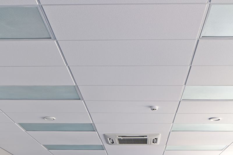 Ceiling Removal Service in Charleston, SC