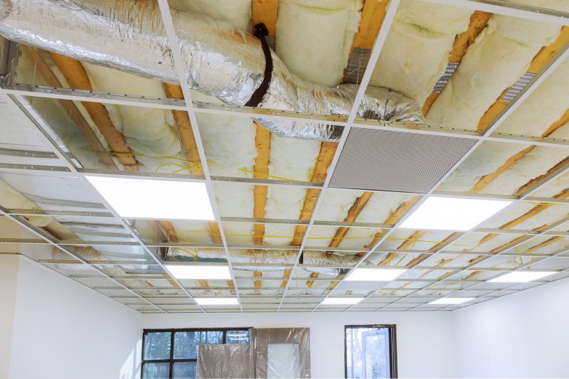 Ceiling Removal Service in Denver County, CO