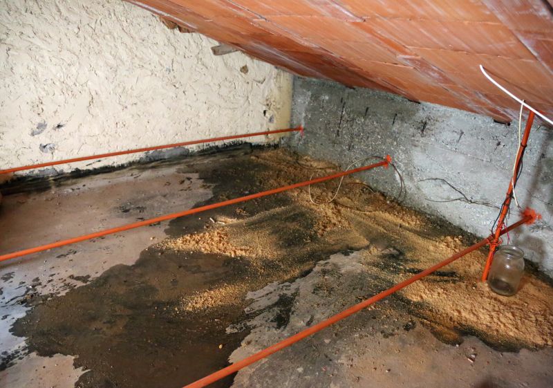 Leaking Ceiling Repair in Katy, TX