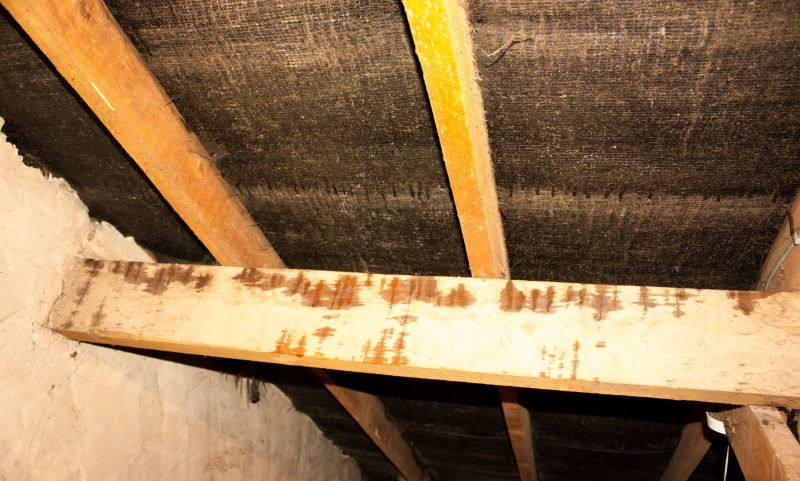Water Damage Ceiling Repair in Alpharetta, GA