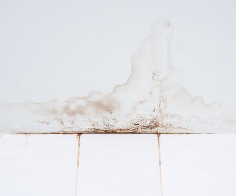 Water Damage Ceiling Repair in Conroe, TX