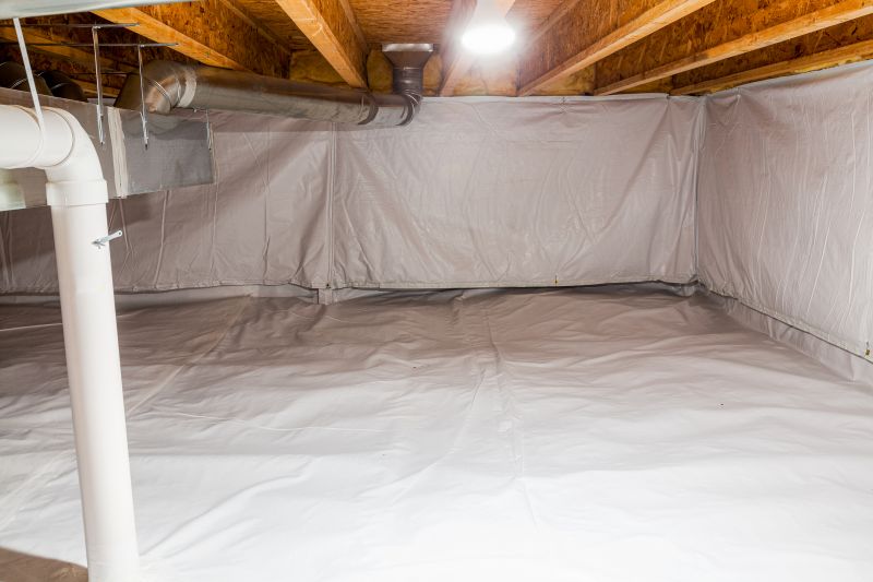 Crawl Space Remediation in Houston, TX